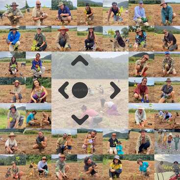 Un collage de personas al aire libre plantando árboles en un campo, sonriendo y disfrutando de la actividad. Algunas están acompañadas de niños, mascotas o amigos, apoyando las iniciativas medioambientales.