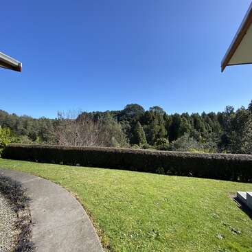 Un ciel bleu clair s'étend au-dessus d'une pelouse verdoyante bordée de haies, avec de grands arbres et des collines boisées en arrière-plan. Scène de jardin paisible.