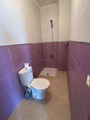 This image shows a small bathroom with purple and white tiled walls, a toilet, a simple shower area, a broom, and a toilet brush.