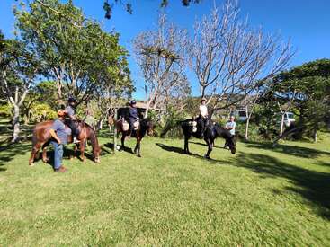Four people are riding horses in a grassy, sunlit area with trees. Two adults stand nearby, observing. The atmosphere is relaxed, and the weather is clear.