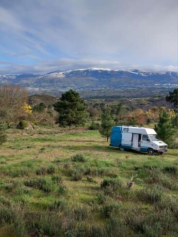 A blue and white camper van is parked on a grassy field, surrounded by trees. Snow-capped mountains and a wide, cloudy sky appear in the background.