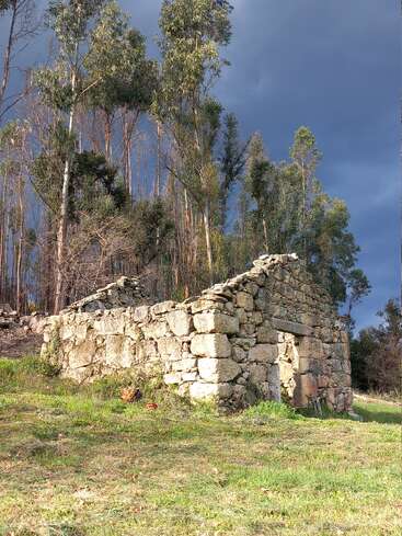An old stone building stands alone in a grassy clearing, surrounded by tall trees, under a dramatic cloudy sky. Nature slowly reclaims this abandoned structure.