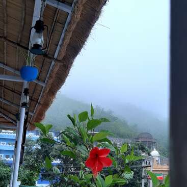 L'image représente un cadre extérieur serein, avec un grand arbre aux feuilles verdoyantes et un ciel d'un bleu éclatant, évoquant un sentiment de paix et de tranquillité.