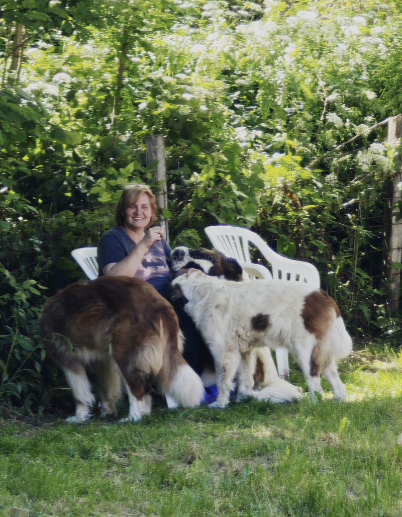 A woman sits on a white chair outdoors, smiling and surrounded by three large, friendly dogs, with lush green foliage and sunlight in the background.