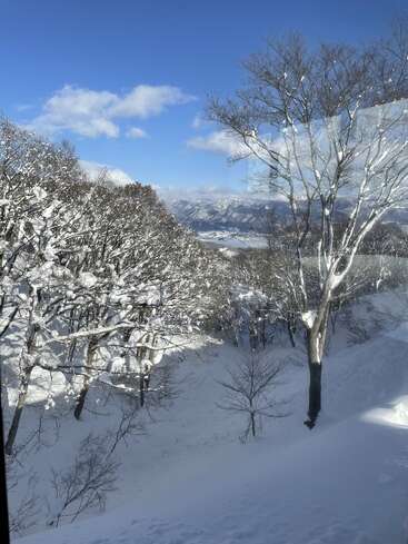 Snow-covered trees stand on a gentle slope under a clear blue sky. Distant mountains and scattered clouds frame a peaceful, wintry landscape filled with bright sunlight.