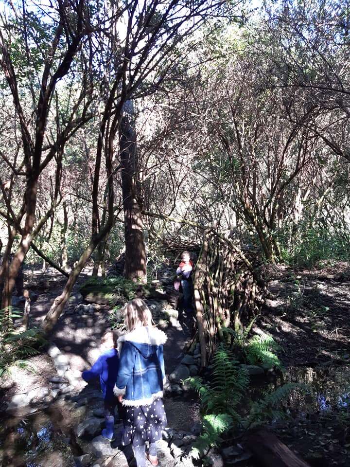L'image représente une scène de forêt sereine avec trois personnes marchant sur un chemin de terre, entourées d'arbres et de verdure luxuriante, baignées par la lumière chaude du soleil.
