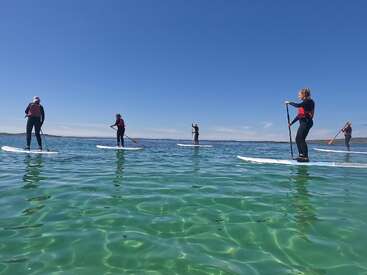 Cinco pessoas estão praticando stand-up paddle em águas cristalinas e azul-turquesa, sob um céu azul brilhante. Elas estão usando roupas de neoprene e coletes salva-vidas, aproveitando um dia calmo e ensolarado.
