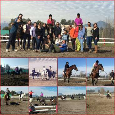 L'image montre un groupe de personnes posant pour une photo avec des chevaux, accompagnée d'autres photos de personnes montant et entraînant des chevaux dans un manège extérieur.