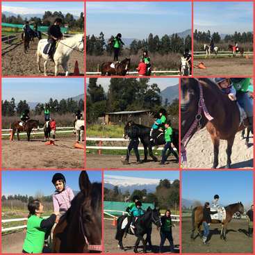 L'image montre un collage de neuf photos montrant des personnes qui montent et interagissent avec des chevaux dans un manège extérieur, sur fond d'arbres et de montagnes.