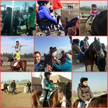 L'image montre un collage de neuf photos montrant des personnes de différents âges montant à cheval, certaines personnes aidant les chevaux ou interagissant avec eux.