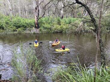 Tres personas navegan en kayak por un tranquilo río rodeado de frondosos y verdes árboles y densos matorrales. La escena es tranquila, natural y al aire libre, y evoca la aventura.