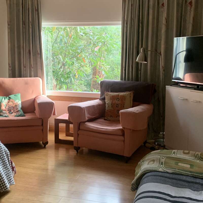 Esta acogedora habitación cuenta con dos sillones rosas con cojines de colores, una gran ventana con vistas frondosas, suelo de madera, un televisor y una suave iluminación natural. Ambiente tranquilo.