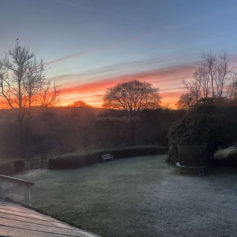 A frosty garden at sunrise, with bare trees silhouetted against a vibrant orange and blue sky. A bench and trampoline rest quietly in the yard.