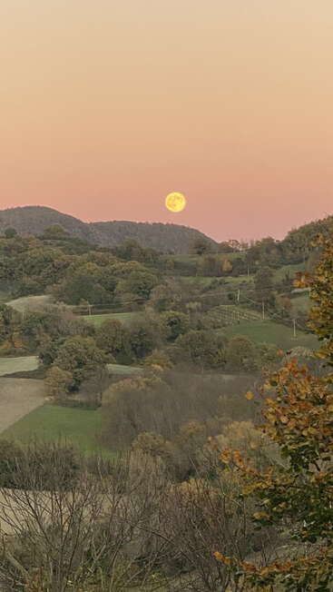 Uma lua cheia amarela surge sobre colinas verdes onduladas e árvores outonais, sob um céu rosa pastel, criando uma paisagem rural serena e pitoresca ao entardecer.