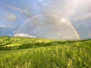 Un arc-en-ciel éclatant s'étend au-dessus d'une prairie verdoyante et paisible, sous un ciel partiellement nuageux, illuminant le paysage luxuriant après une averse passagère et créant une scène sereine.