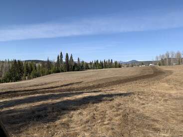 Um campo amplo e aberto com grama seca, cercado por árvores perenes. Ao longe, as montanhas são visíveis sob um céu azul claro. Paisagem rural tranquila.