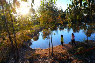Two people stand by a tranquil, reflective pond surrounded by trees in soft sunlight. The scene exudes calmness and natural beauty, evoking a peaceful atmosphere.