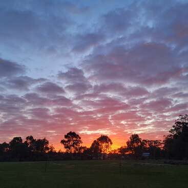 A vibrant sunset illuminates the sky with orange and purple hues. Silhouetted trees line the horizon, while scattered clouds reflect the colorful, fading evening light above grassy fields.