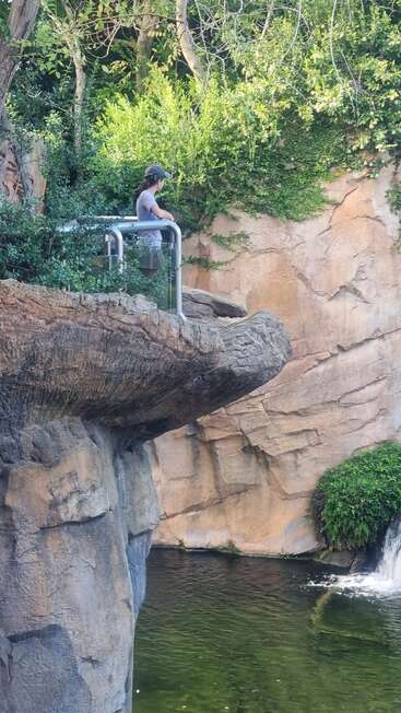 A person stands on a glass platform overlooking a cliff, with green foliage, rocky walls, a small waterfall, and a serene pool of water below.