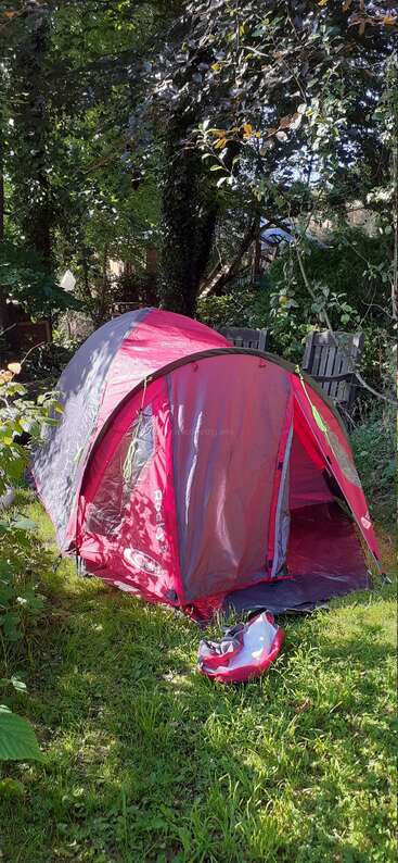 A red and gray tent is set up on green grass in a wooded backyard. Sunlight filters through the trees, illuminating a peaceful, natural camping scene.
