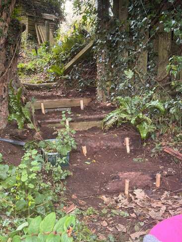 Wooden logs and planks form rustic garden steps, surrounded by lush greenery, ivy, and ferns. Natural foliage and leaves cover the ground, creating a woodland path.