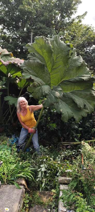 La imagen muestra a una mujer delante de una planta de grandes hojas, vestida con una camiseta amarilla de tirantes y unos vaqueros azules, con la mano en el tallo de la planta.