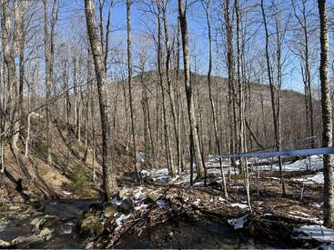 Árvores sem folhas se erguem em uma floresta de inverno, com manchas de neve espalhadas pelo chão. Um tubo azul atravessa a cena sob um céu claro.