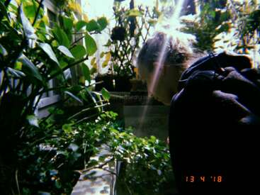 A person is tending to lush green plants indoors, bathed in sunlight streaming through a window. The atmosphere is calm, peaceful, and filled with natural beauty.