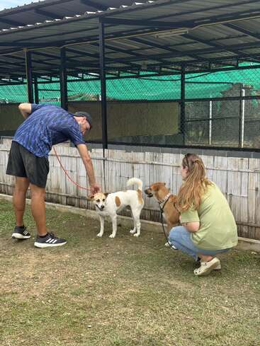 Ein Mann und eine Frau unterhalten sich mit zwei Hunden außerhalb eines Tierheims. Der Mann streichelt einen weißen Hund, während die Frau neben einem braunen Hund kniet.