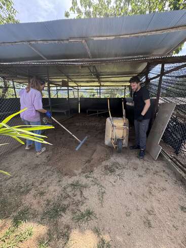 Zwei Personen arbeiten in einem eingezäunten Tiergehege mit einem Wellblechdach. Einer benutzt eine Harke, der andere steht neben einer gelben Schubkarre, die mit Erde gefüllt ist.