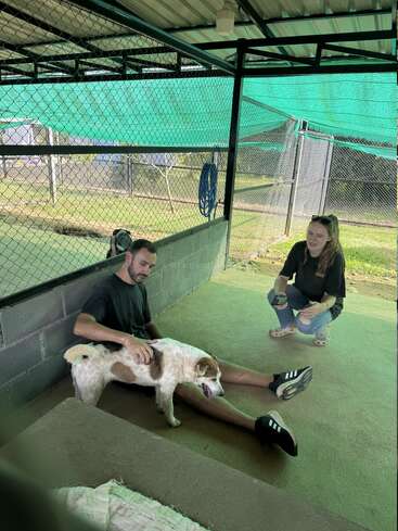 Zwei Menschen verbringen Zeit in einem überdachten Zwinger im Freien und beschäftigen sich mit einem braun-weißen Hund. Die Szene wirkt entspannt, freundlich und fürsorglich gegenüber dem Tier.