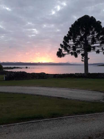 Un sereno paisaje junto a un lago al atardecer, con una espectacular silueta de árbol, un muro de piedra, un serpenteante camino de grava y aguas tranquilas que reflejan el resplandeciente cielo rosa.