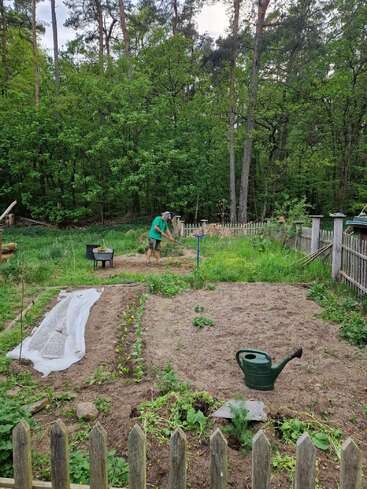 Una persona trabaja en un pequeño jardín vallado rodeado de un frondoso bosque. En la escena se ven hileras de plantas, una regadera y herramientas de jardinería.