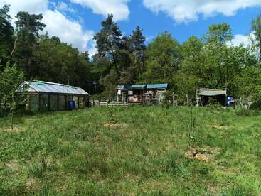 Um campo verdejante cercado por árvores, com uma estufa, uma pequena cabana de madeira e um galpão, sob um céu azul brilhante com algumas nuvens espalhadas.