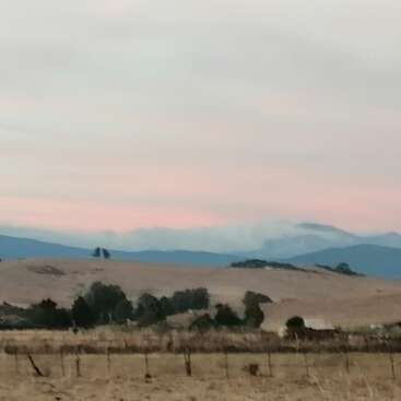 Eine ruhige Landschaft mit trockenem Gras, verstreuten Bäumen, sanften Hügeln und entfernten blauen Bergen unter einem pastellrosa und wolkenverhangenen Himmel am frühen Morgen oder bei Sonnenuntergang.