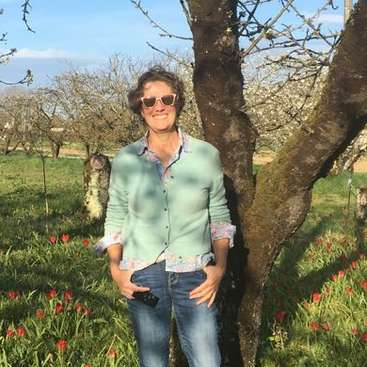 A imagem mostra uma mulher em frente a uma árvore, cercada por flores vermelhas vibrantes e vegetação exuberante, em um céu azul sereno.