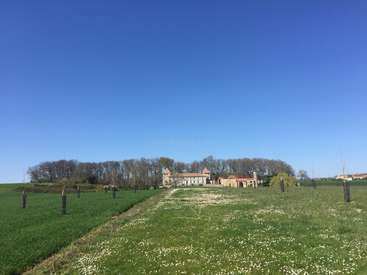 A imagem retrata uma paisagem serena com um grande edifício com telhado vermelho, cercado por árvores e um campo de grama verde e flores brancas em um dia claro de céu azul.