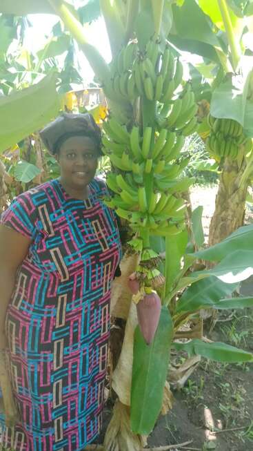 The image depicts a woman standing beside a banana tree, wearing a vibrant dress and hat, with a lush green background and a bright sky.