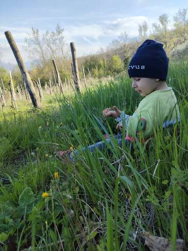 L'image représente un jeune enfant assis dans un champ herbeux, vêtu d'un bonnet bleu et d'une chemise verte, sur un fond serein d'arbres et de ciel nuageux.