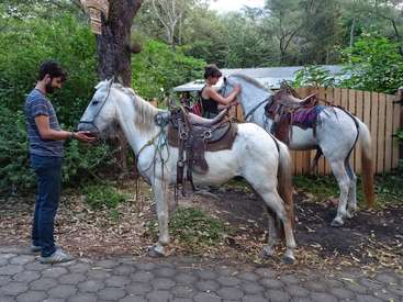 The image depicts a man standing beside a white horse, with another horse and a woman in the background, set against a backdrop of trees and a fence.