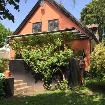 L'image représente une charmante maison à deux étages dont l'extérieur est d'un orange vibrant, entourée d'une végétation luxuriante et d'un ciel bleu serein.