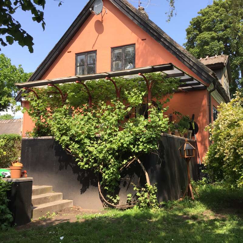 L'image représente une charmante maison à deux étages dont l'extérieur est d'un orange vibrant, entourée d'une végétation luxuriante et d'un ciel bleu serein.