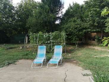 Two blue lounge chairs sit on a cracked concrete patio. Behind them, lush green vegetation and trees surround a small garden with a metal trellis.