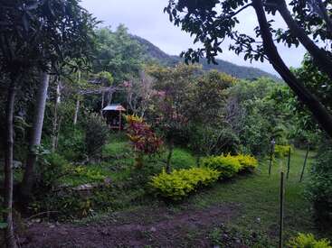 This image shows a lush, green garden with various trees and shrubs, a small hut, vibrant foliage, mountains in the background, and a peaceful, natural atmosphere.