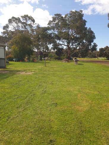 Une cour herbeuse éclairée par le soleil avec un grand arbre au centre, entouré de buissons, de plantes en pot et d'un ciel ouvert avec des nuages épars au-dessus. Un cadre paisible.