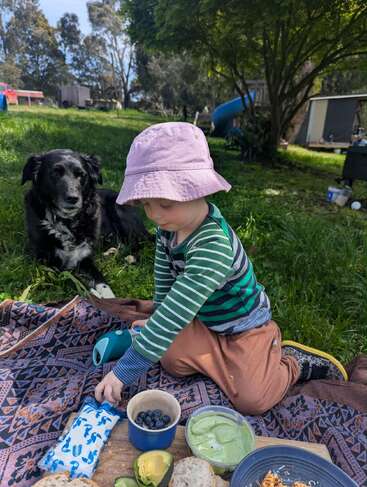 A young child wearing a pink hat has a picnic outside on a blanket. A black dog sits nearby; food and blueberries are placed in bowls in front.