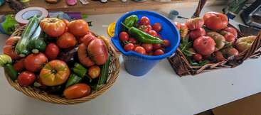 Three containers—two baskets and one blue bucket—are filled with a colorful harvest of tomatoes, zucchinis, peppers, eggplants, and other fresh vegetables on a table.