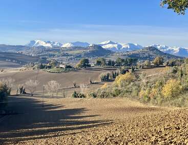 Des collines ondulantes avec des arbres et des champs automnaux s'étendent au loin, encadrées par de majestueuses montagnes enneigées sous un ciel bleu clair par une journée lumineuse.