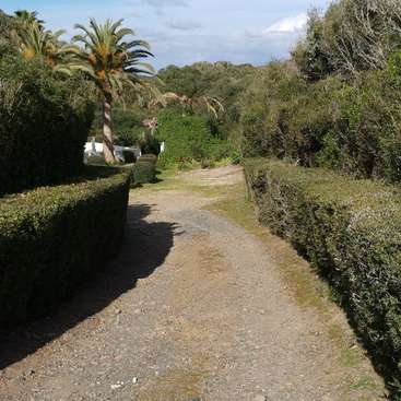 Das Bild zeigt einen ruhigen, unbefestigten Weg, flankiert von üppigem Grün, darunter Palmen und Büsche, vor einem blauen Himmel mit weißen Wolken.