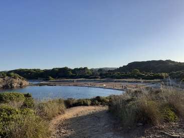 Das Bild zeigt eine ruhige Landschaft mit einem Gewässer, einem Sandstrand und einer üppigen Vegetation vor einem klaren blauen Himmel.